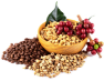 CoffeeGeek Discussion Forums - Coffee Product Reviews